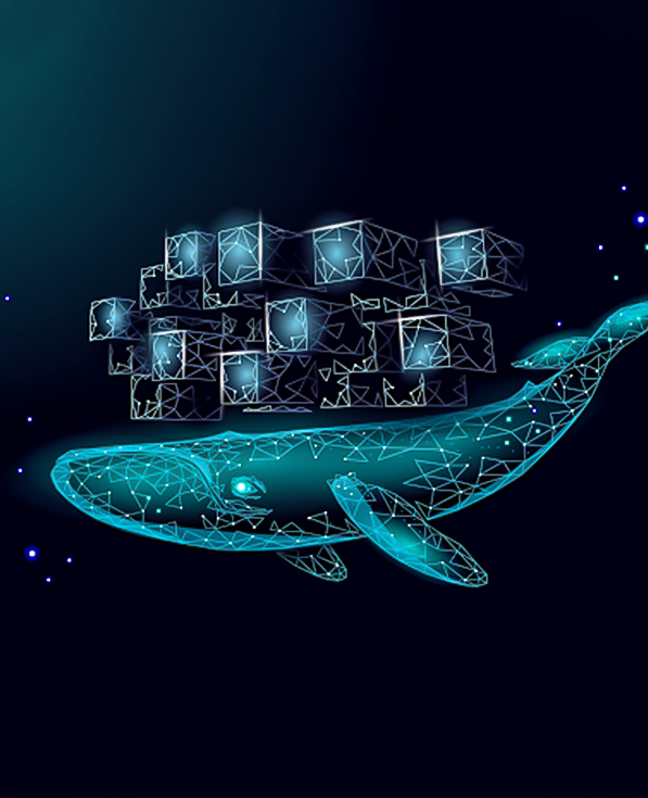 Containerization & Orchestration